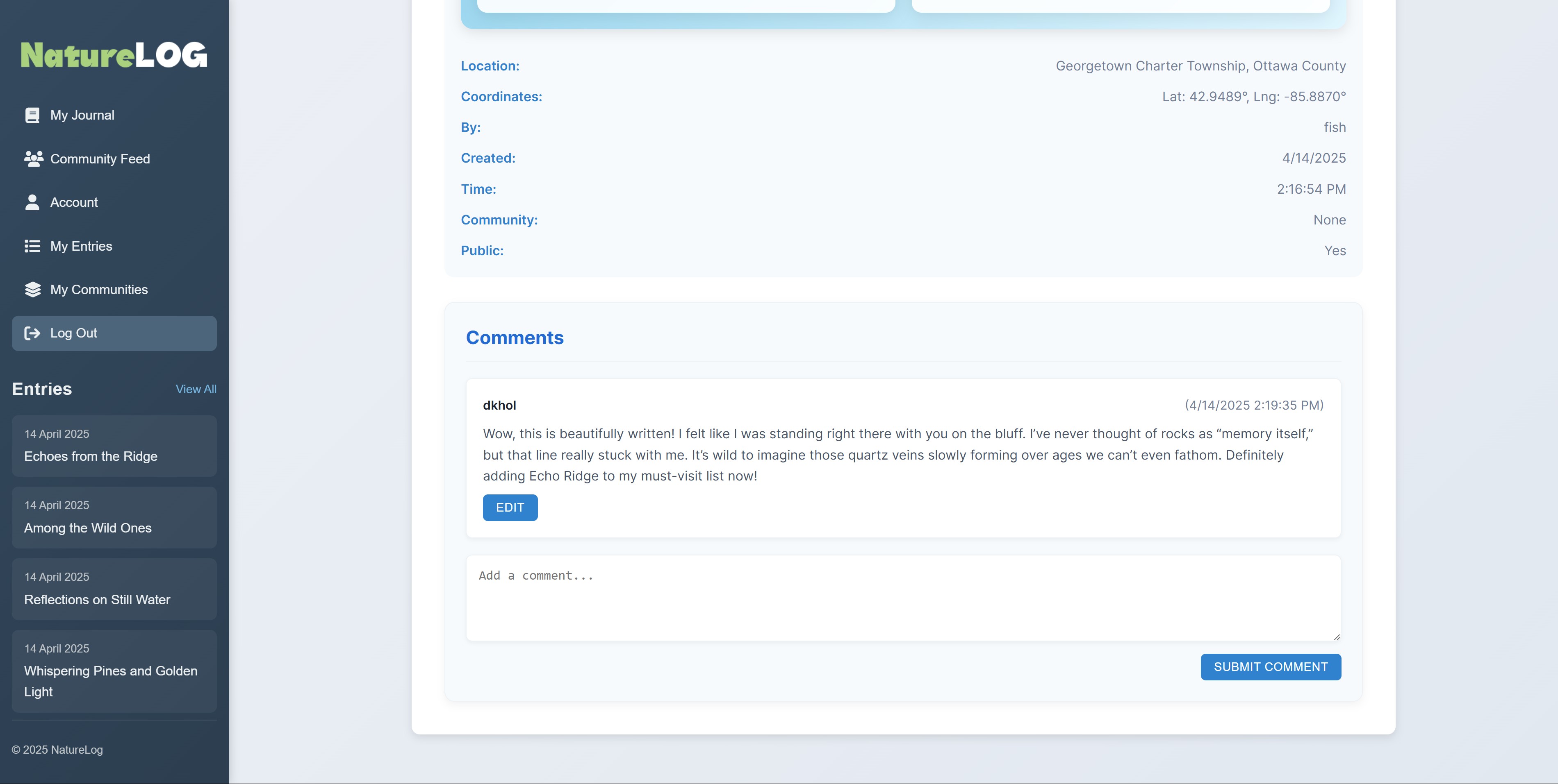 Entry comment