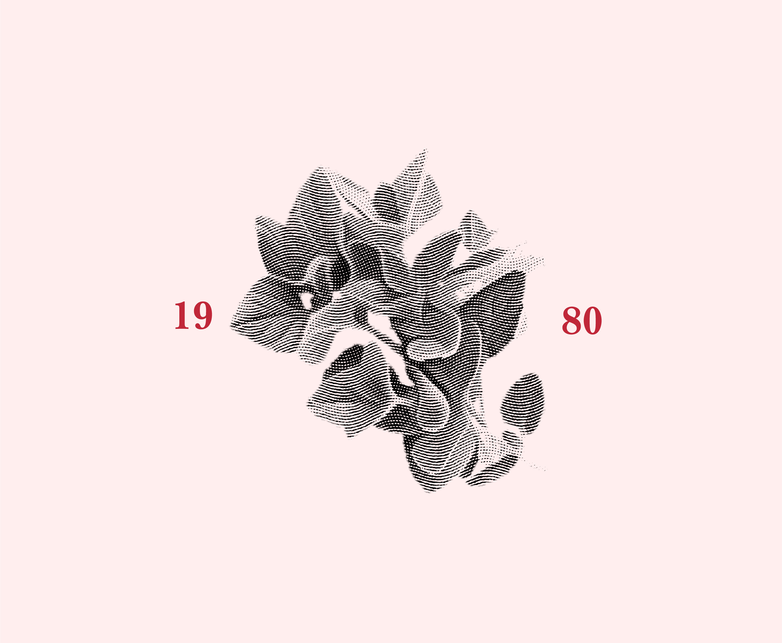 Illustration 1