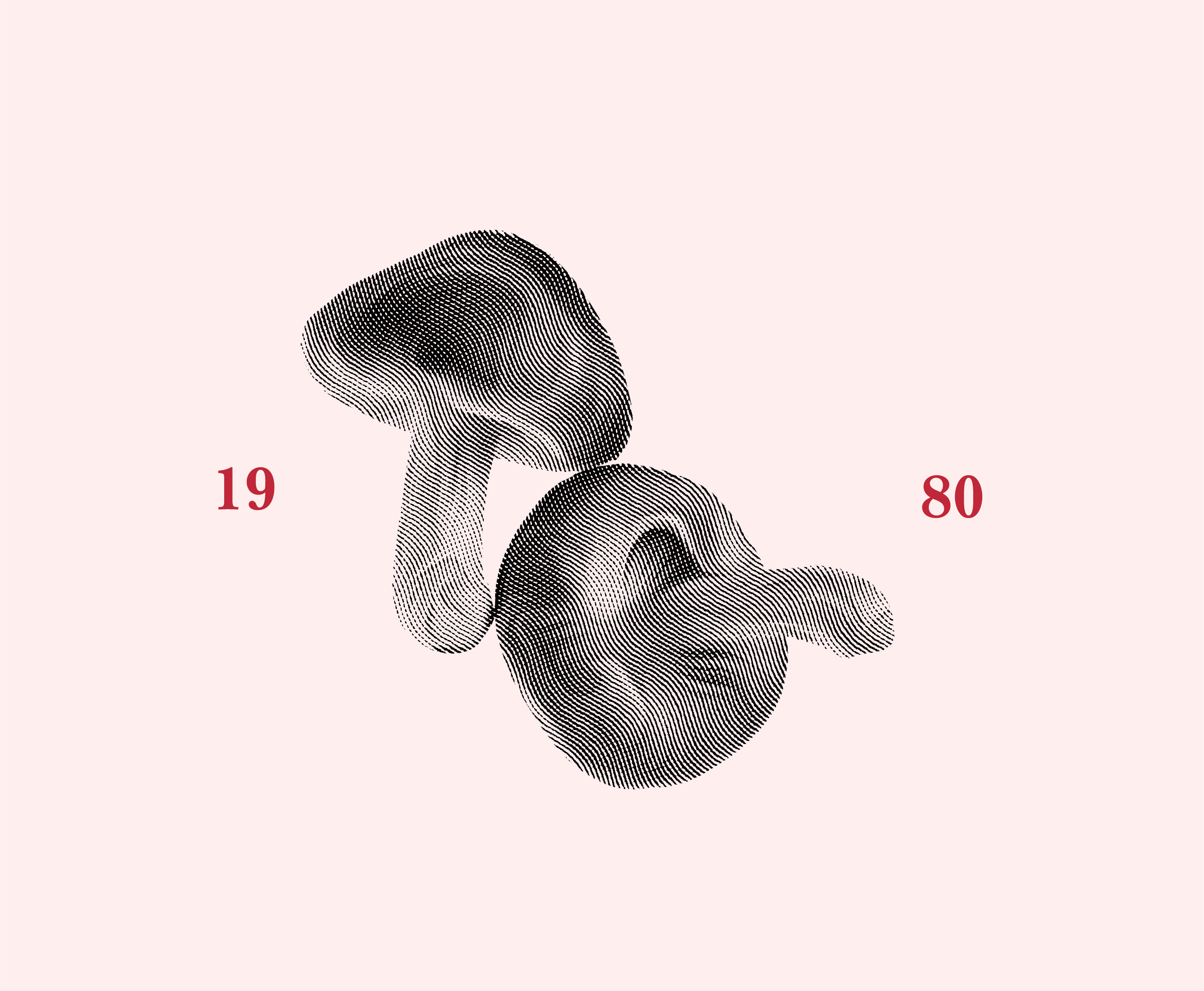 Illustration 3