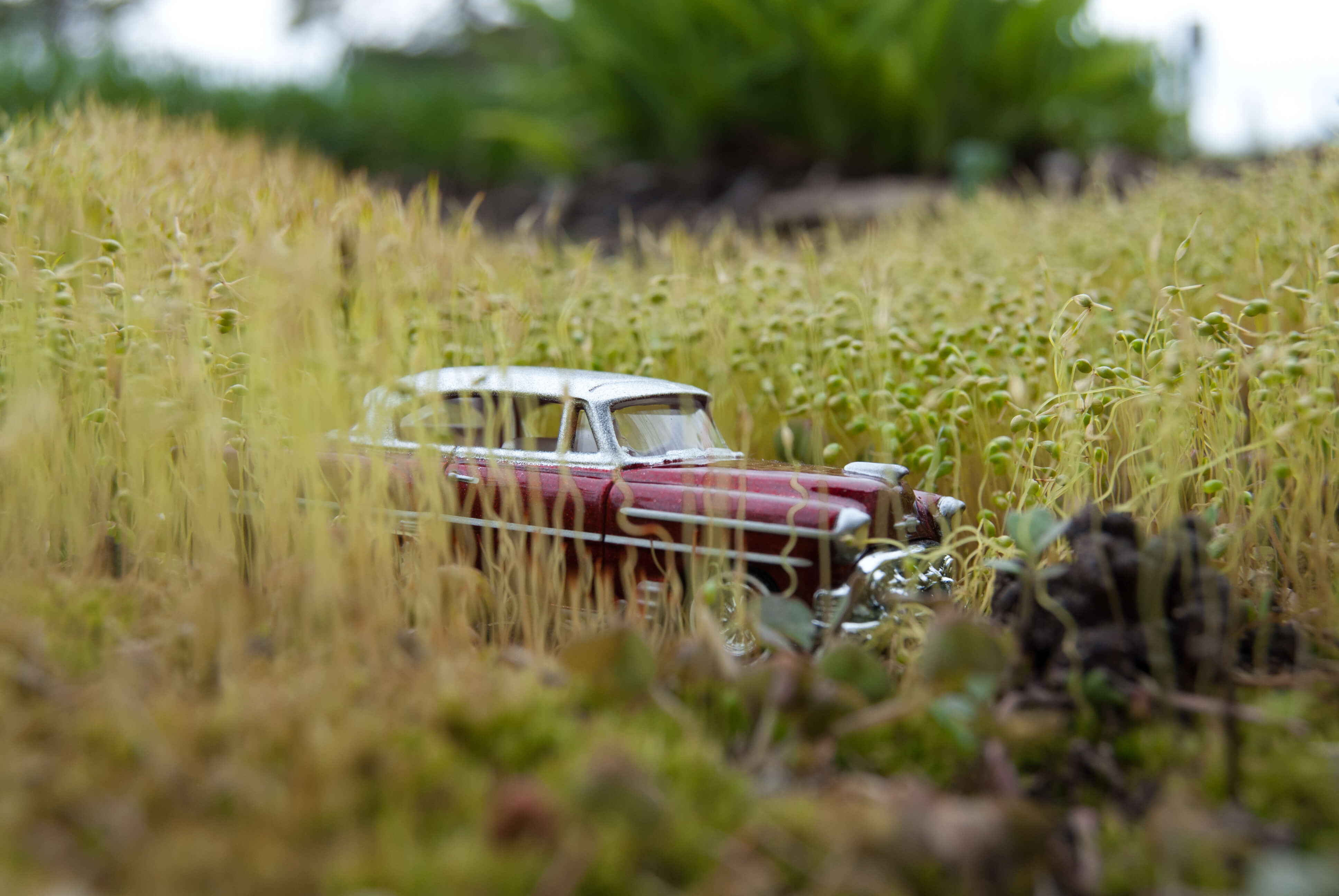 Moss Chevy